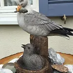 Moewennest Сasa de vacaciones *