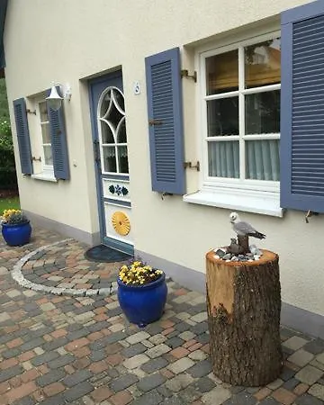 Moewennest *