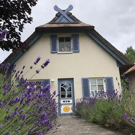 펜션 Moewennest Am Schwarzen Busch