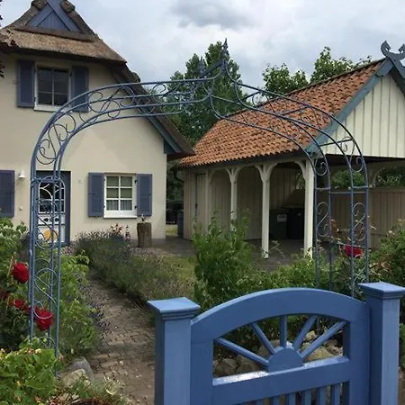 Moewennest * Am Schwarzen Busch