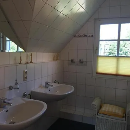 Moewennest Am Schwarzen Busch