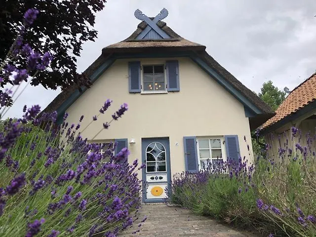 Holiday home Moewennest Am Schwarzen Busch