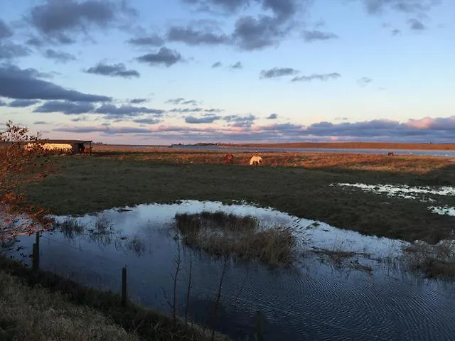 Moewennest Holiday home