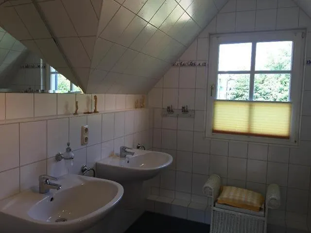 Moewennest Am Schwarzen Busch