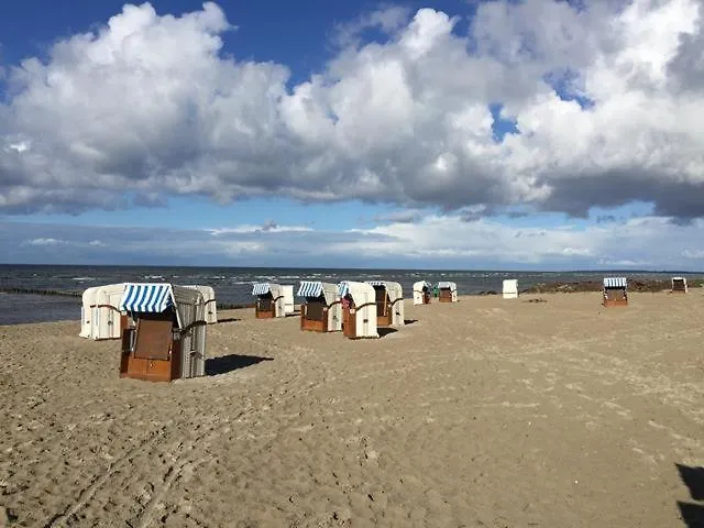 Moewennest * Am Schwarzen Busch